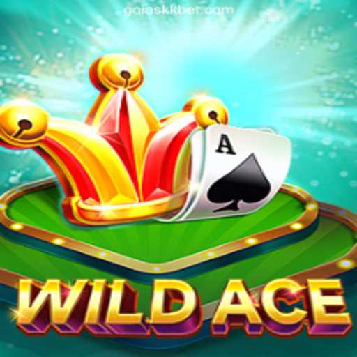 Exploring WildAce: The Thrilling Online Casino Experience